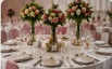 Weddings & Engagements